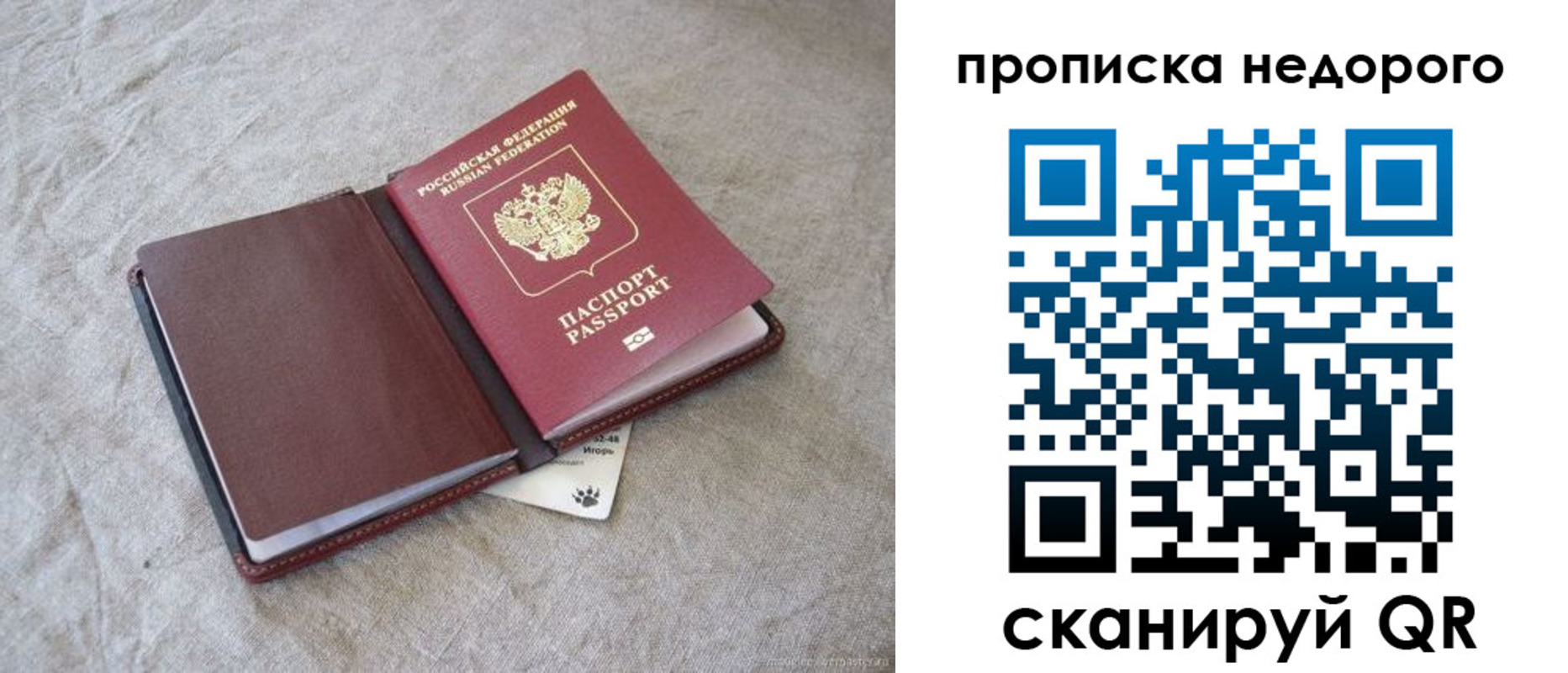 прописка 2025 в Ростове